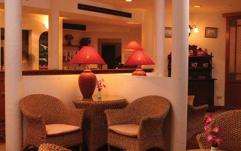 Dolphin Bar